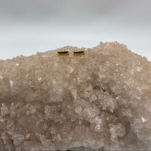 Stella and Dot Earrings